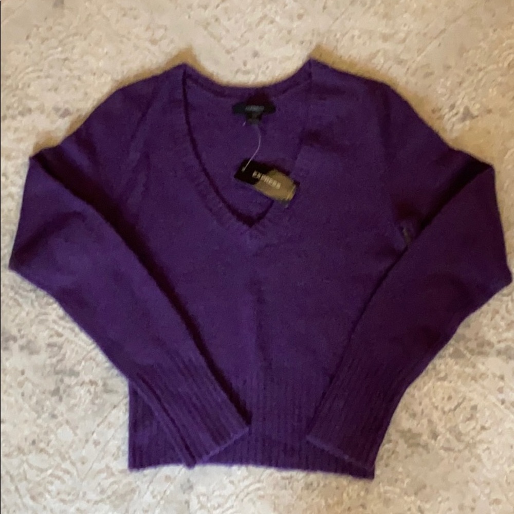 NWT Express Purple v-neck sweater